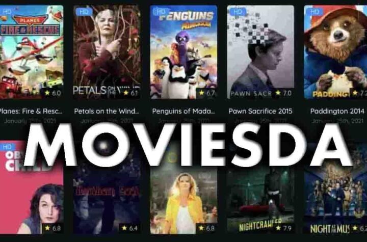 download new movies from movierulz